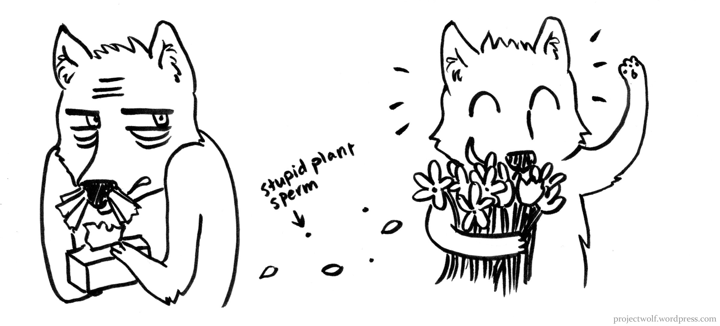 in plants Sperm